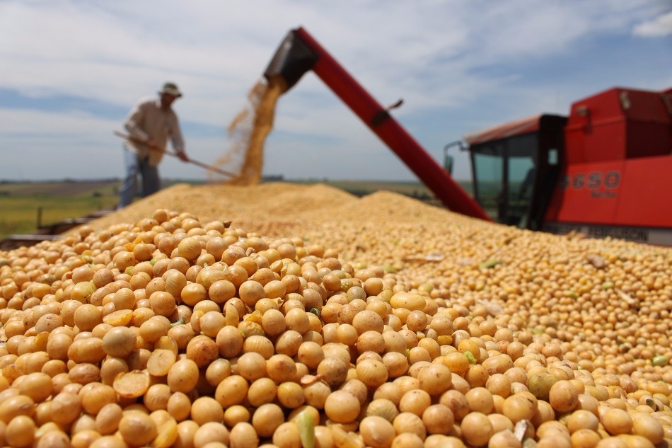 Censo agropecuário 2017 do IBGE começa neste domingo