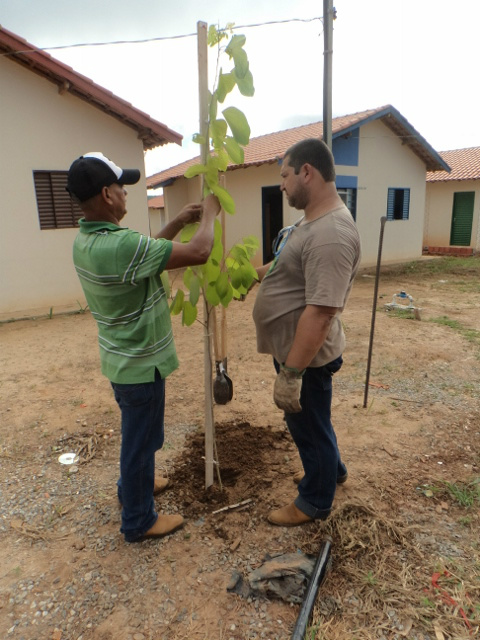 Equipe da secretaria do Meio Ambiente fazendo plantio no bairro