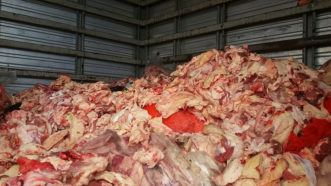 SEMA fiscalizará descarte adequado de carne pelos açougues SEMA fiscalizará descarte adequado de carne pelos açougues