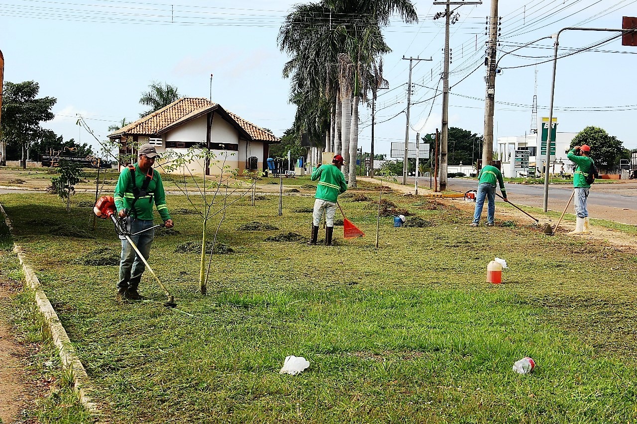 Empresa inicia serviços de jardinagem na área urbana