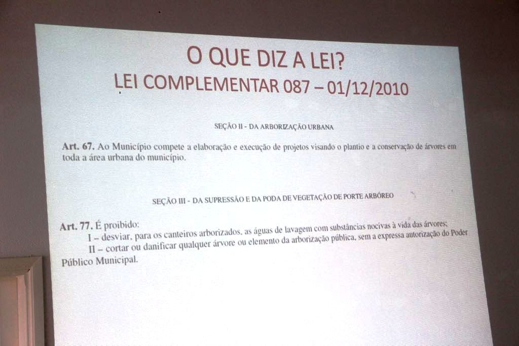 Reunião com empresas debate poda e corte de árvores