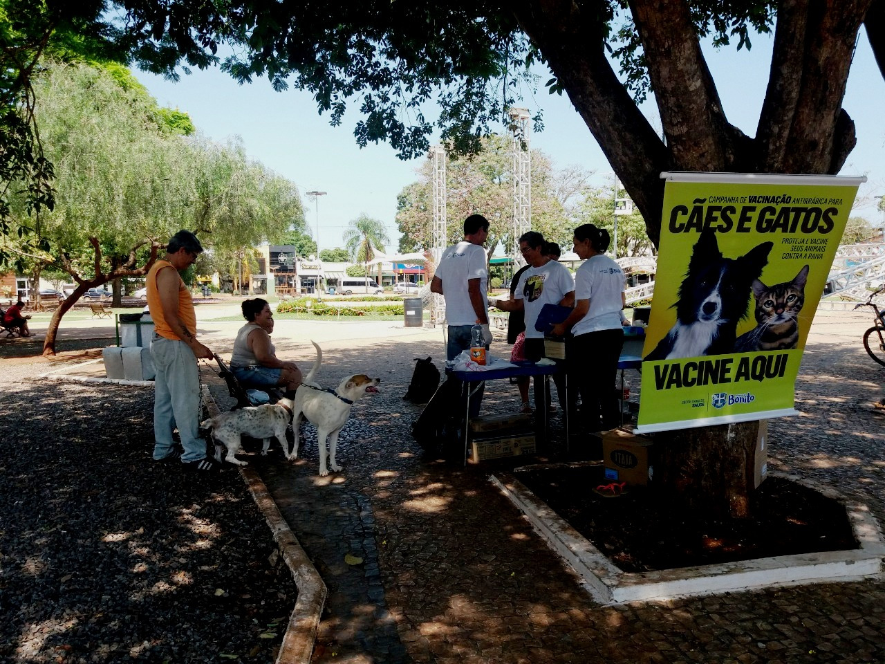Dia D imunizou 1.238 animais de estimação em Bonito