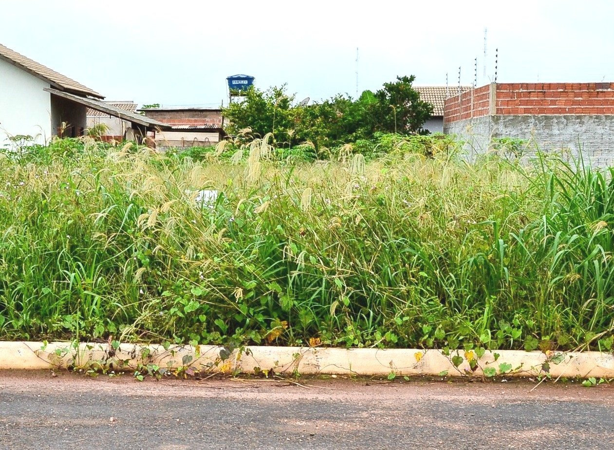 Manter o terreno sujo é considerado infração ao combate ao mosquito vetor Aedes Aegypt, de acordo com a lei.