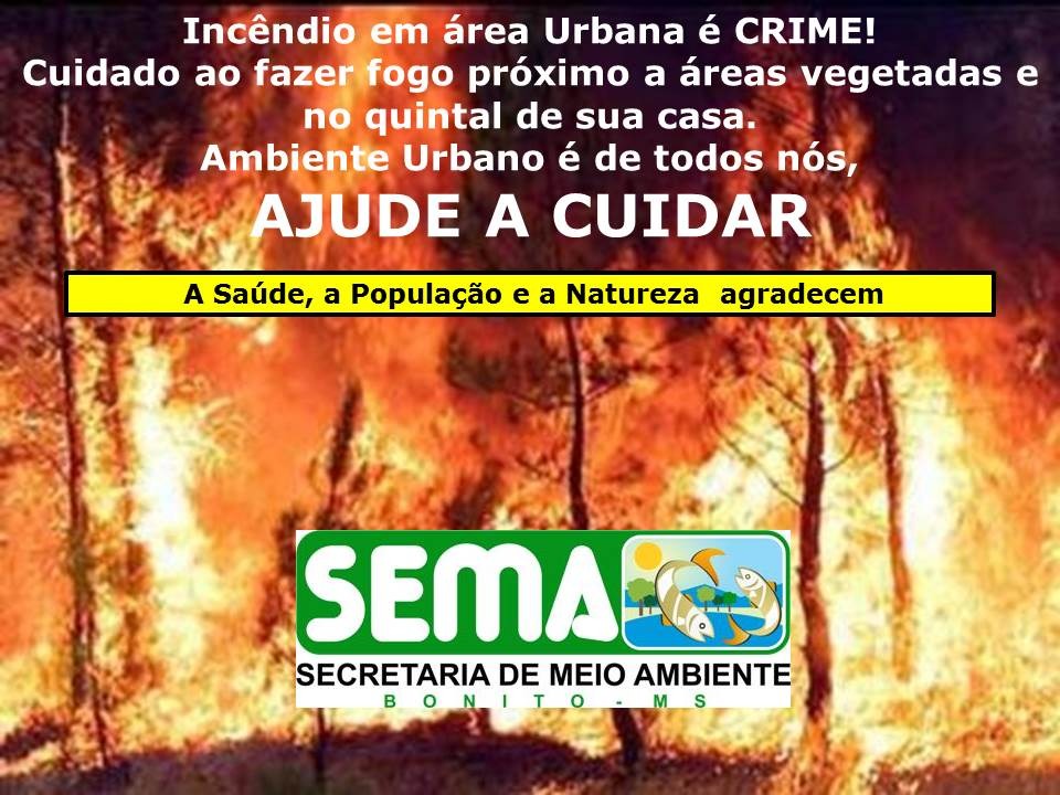 Incêndio urbano é crime ambiental