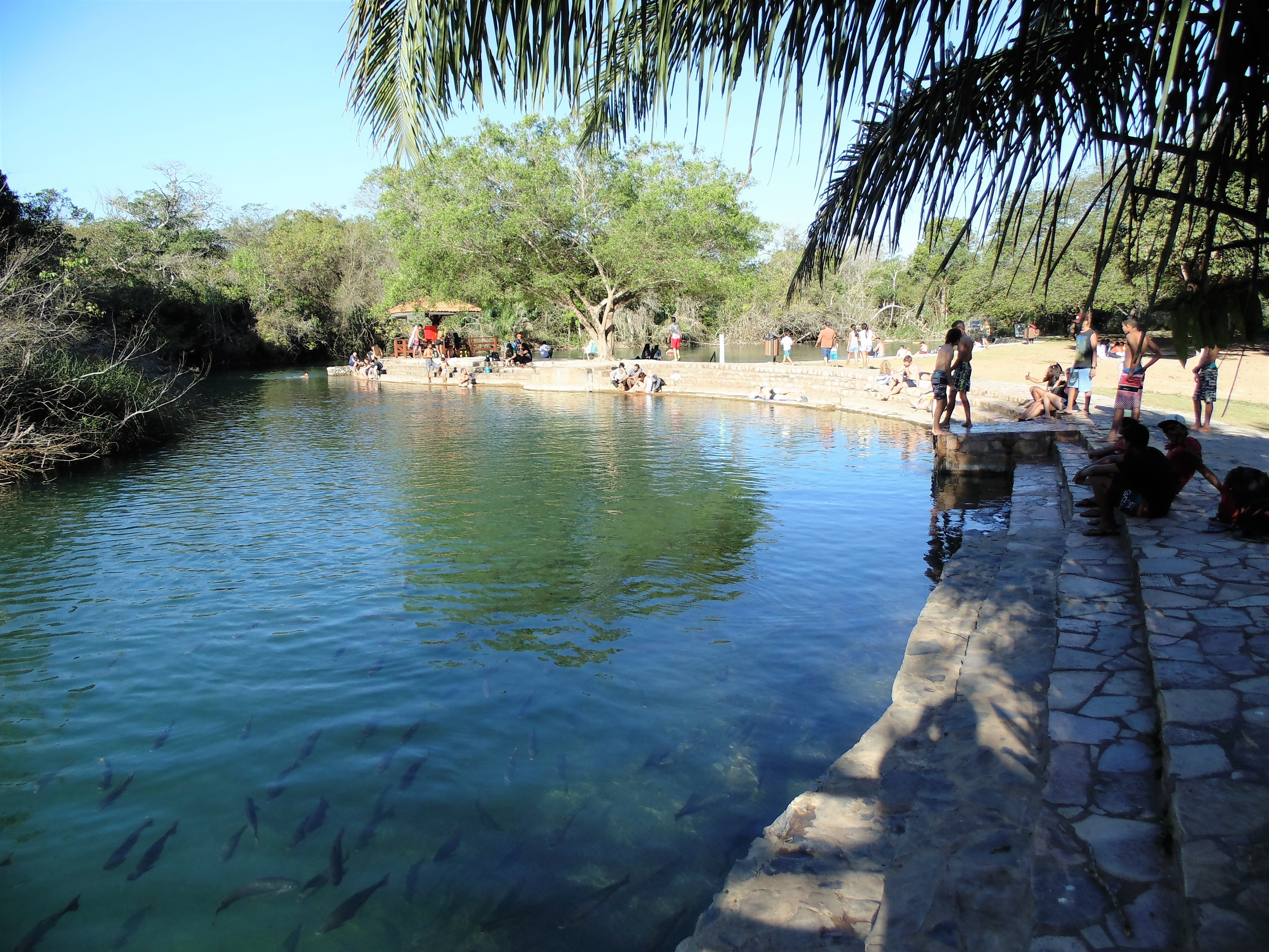 Foto: Assessoria.