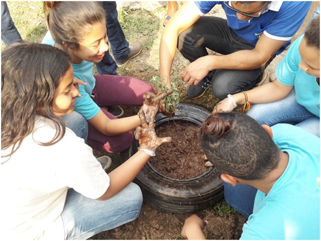Duas escolas de Bonito estão nas finais do programa Agrinho Prêmios são disputados em quatro categorias: Desenho, Redação, Pedagógica e Escola agrícola. Foto: divulgação.