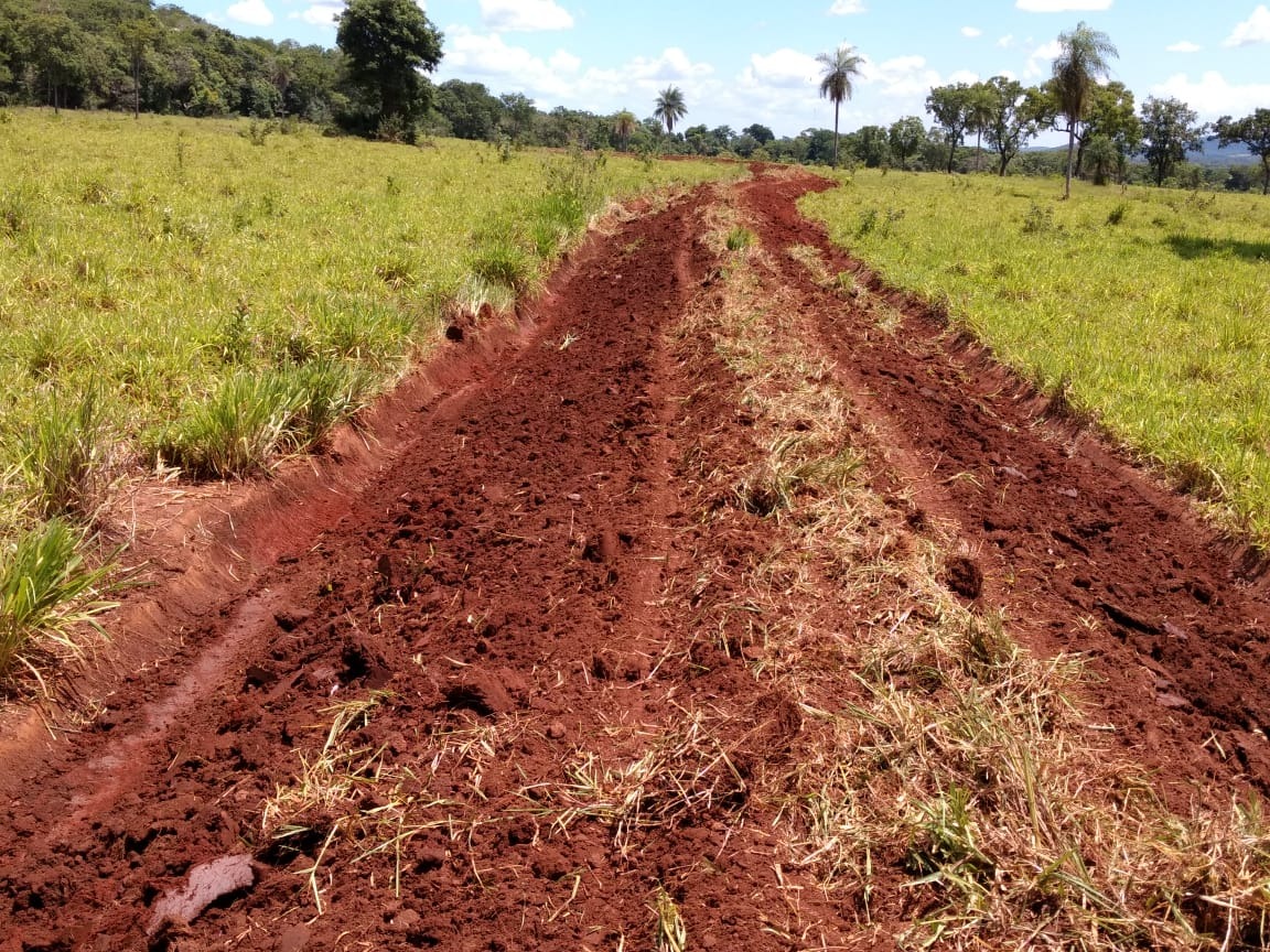 Uma vez feitas, as curvas de nível precisam de manutenção de três em três anos. Foto: SEMA