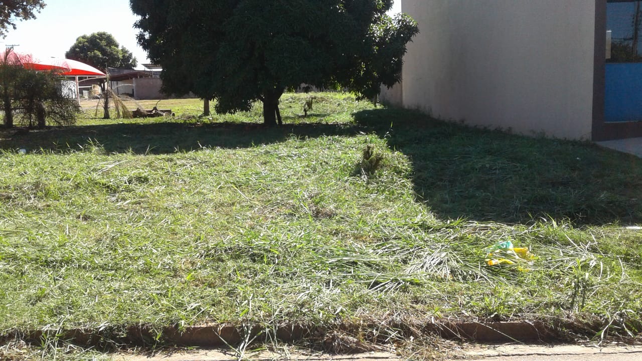Terreno após limpeza pela Vigilância Sanitária (Fotos: Vigilância Sanitária de Bonito)