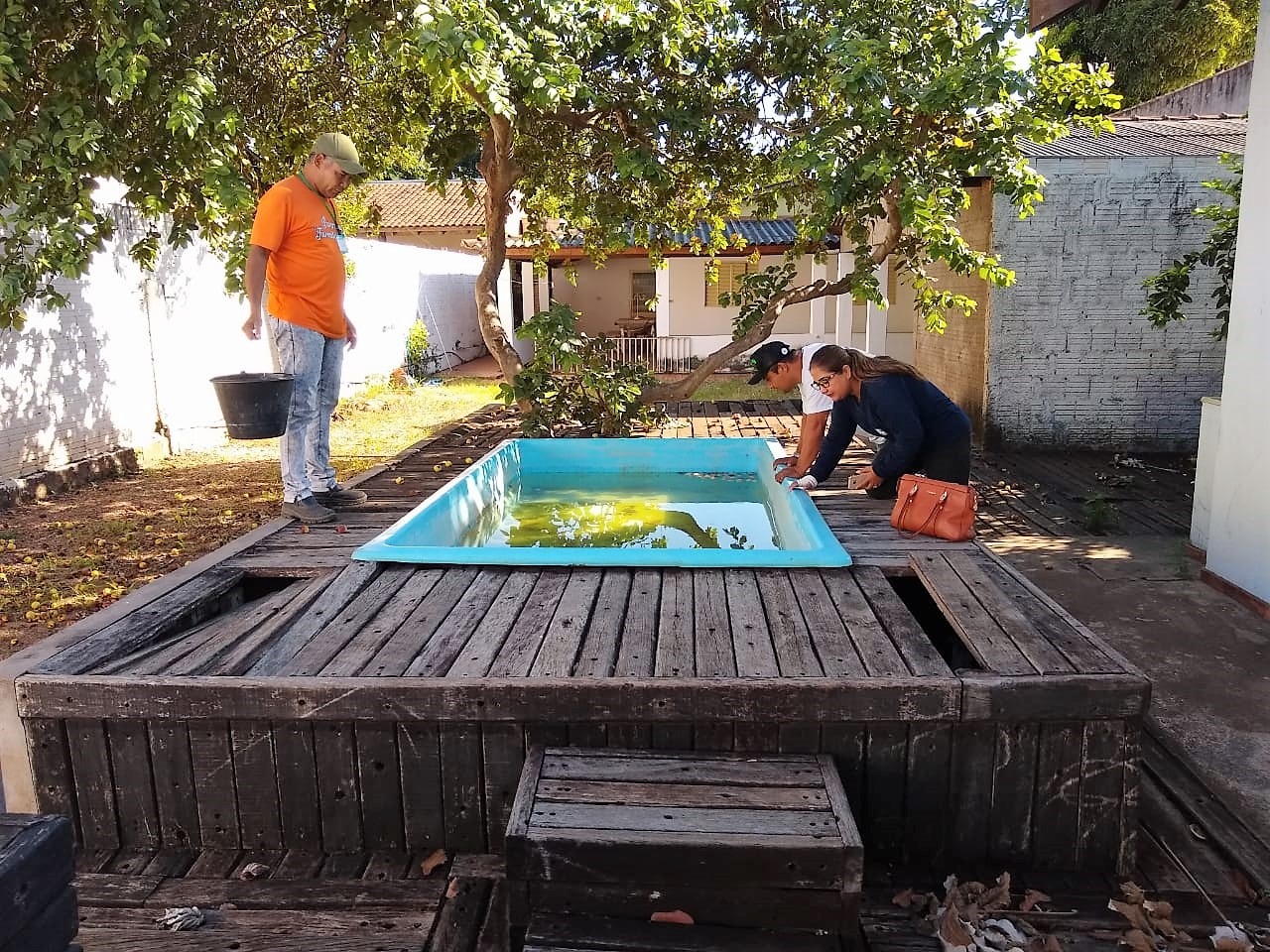 Com o imóvel abandonado, piscina se tornou criadouro de larvas.  Foto: Divulgação
