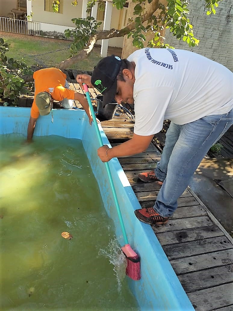 Lei prevê multa para proprietário de imóvel encontrado em condições propícias à propagação do Aedes Aegypti.Foto: Divulgação