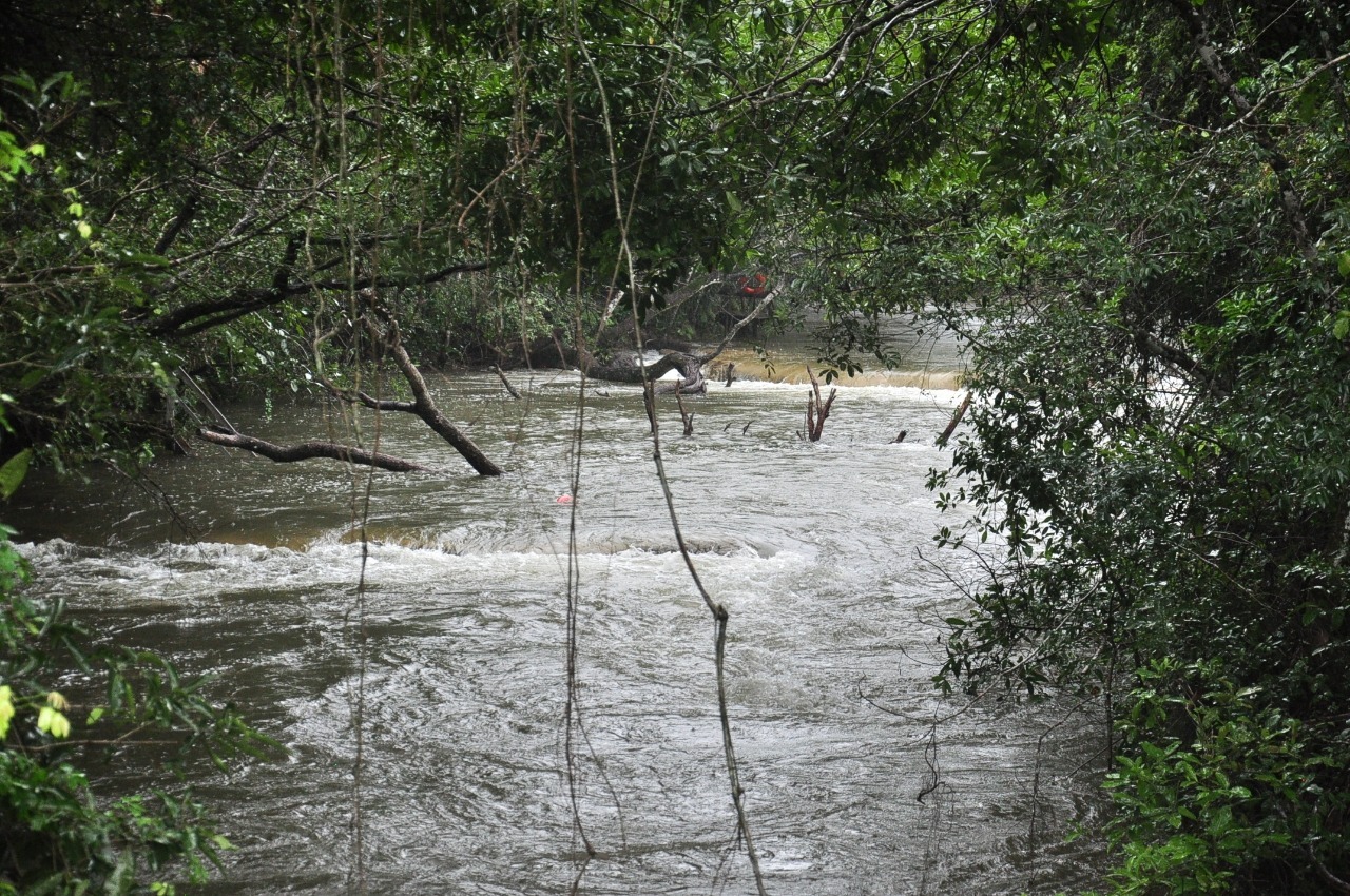 Imasul e Defesa Civil colocam Bonito em estado de atenção Imasul e Defesa Civil definem a situação como crítica, principalmente em relação ao Rio Miranda. Foto: Jabuty