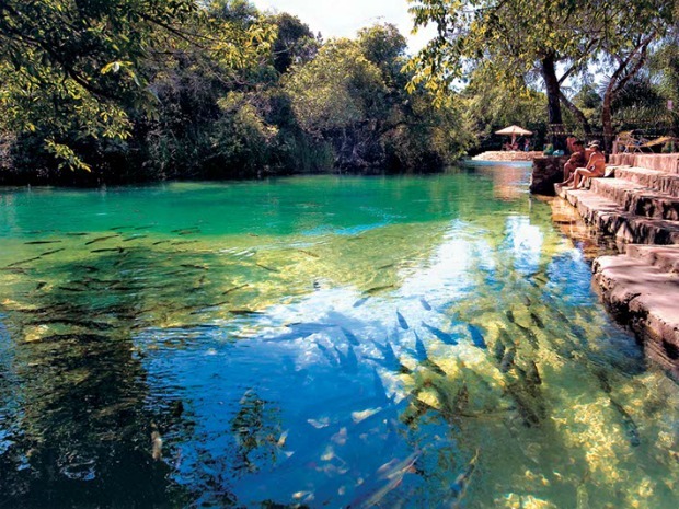 Governo estabelece regras para aprovação de projetos Decreto contribui para a preservação das águas do Rio Formoso e do Rio da Prata. Foto: Divulgação