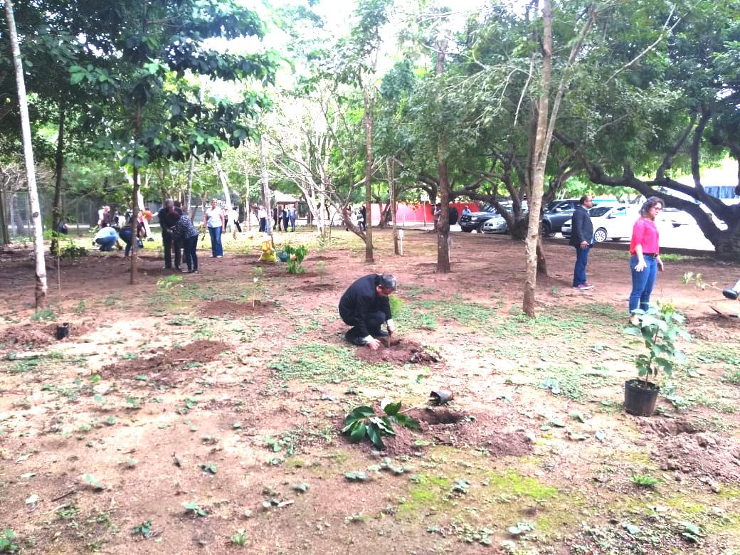 Árvores foram plantadas pelo Colégio de Governadores e participantes da conferência. Foto: Divulgação