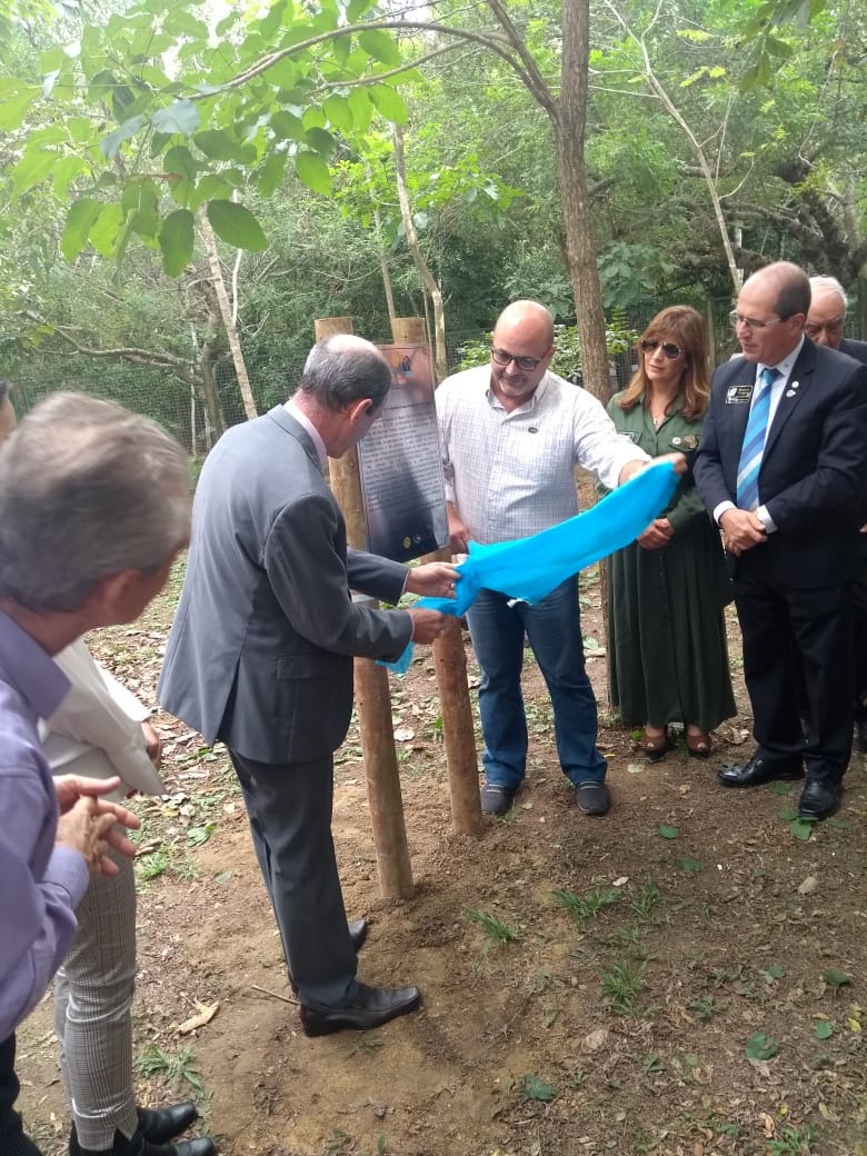 Foram plantadas 43 árvores de espécies nativas da região. Foto: Divulgação