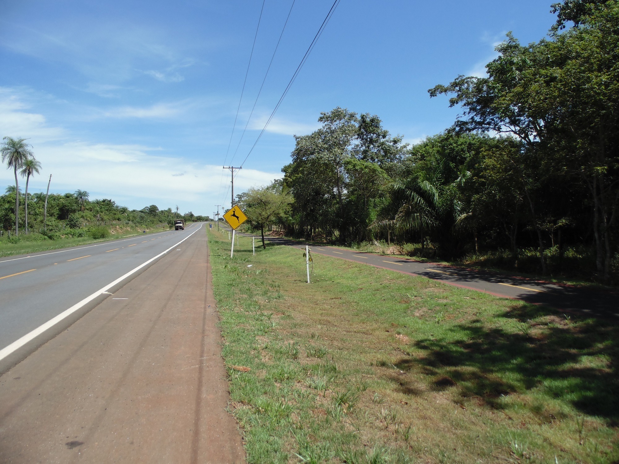 Mutirão será realizado nos dois lados da rodovia. Foto: PMB