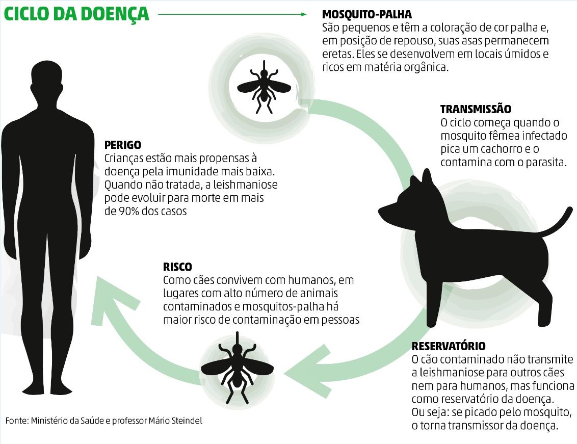 Saúde realiza o "Dia D" contra a Leishmaniose Visceral Saúde realiza o "Dia D" contra a Leishmaniose Visceral