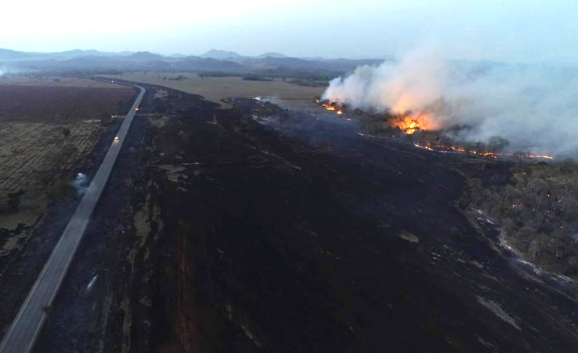 Setembro é o mês mais crítico para incêndios florestais. Foto:  Portal do MS