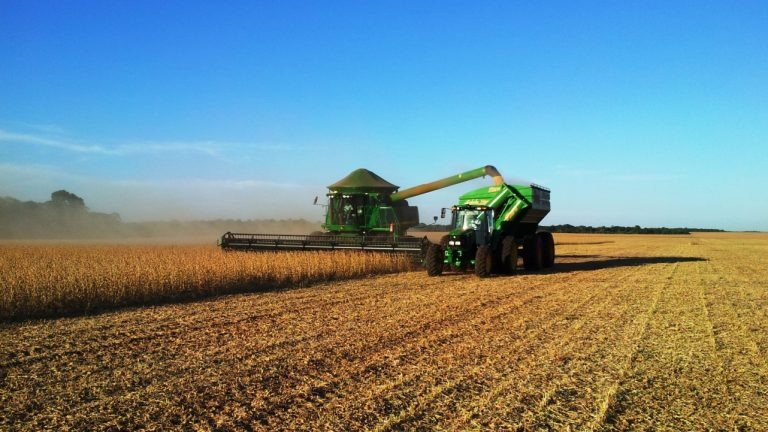 Ministério da Agricultura publica zoneamento agrícola da soja para MS