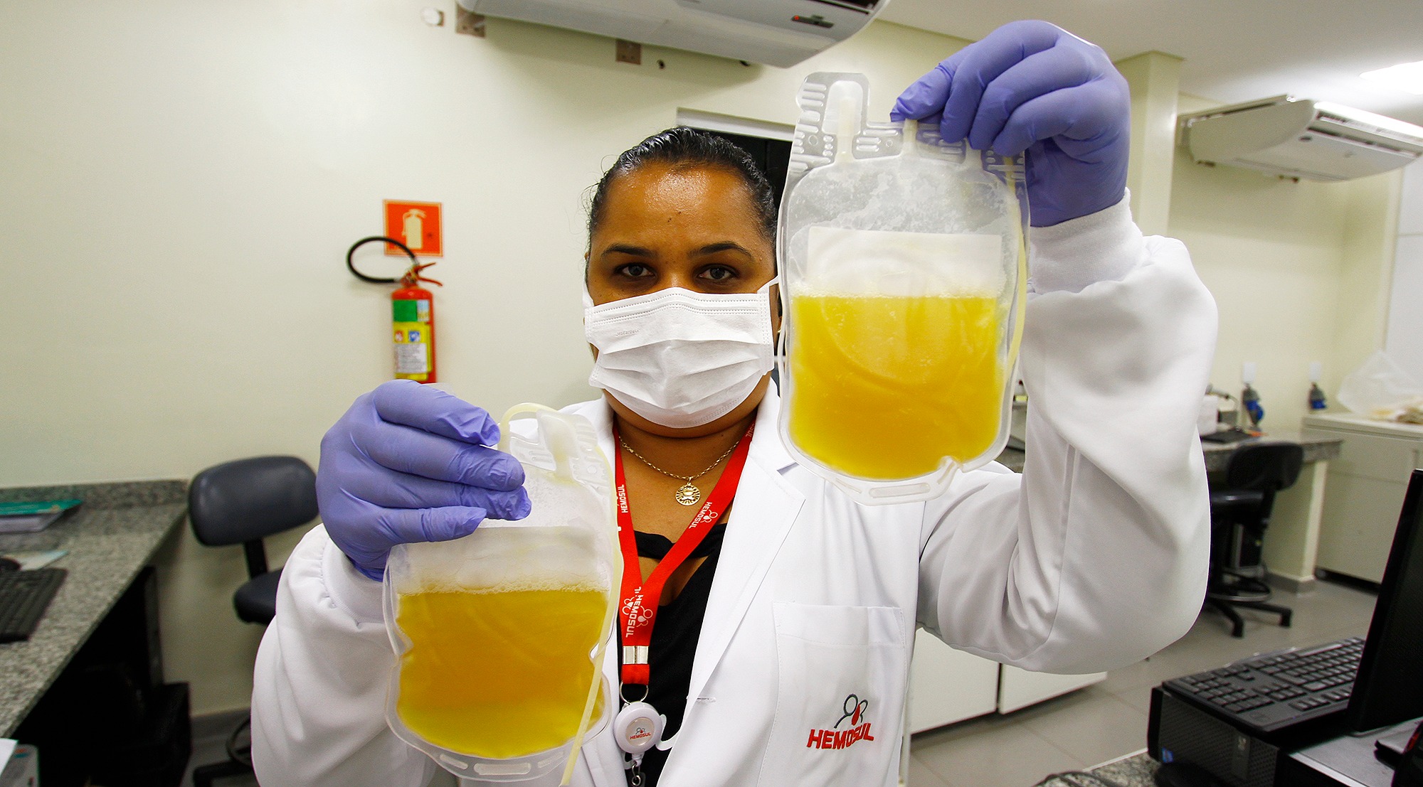 MS vai usar plasma de sangue humano para tratar pacientes de Covid-19