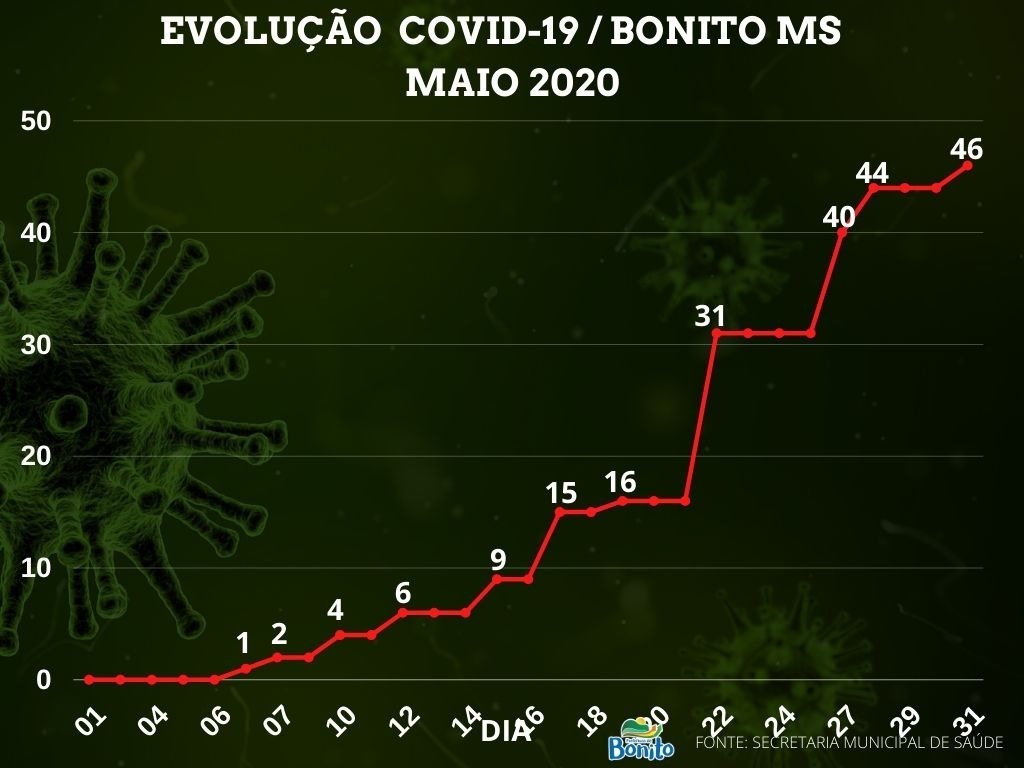COVID-19: gráficos mostram evolução da doença entre maio e junho no município
