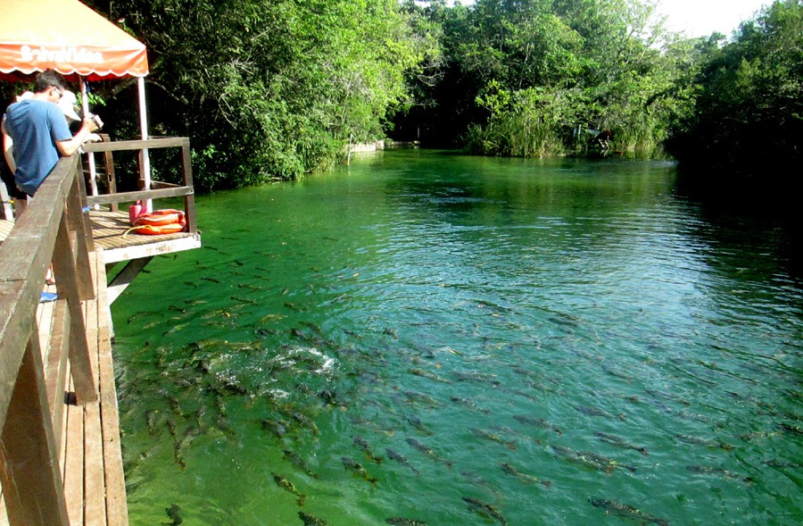 Turvamento das águas em Bonito diminui com ações do governo Governo passou também a monitorar e avaliar projetos aprovados. Foto: Divulgação