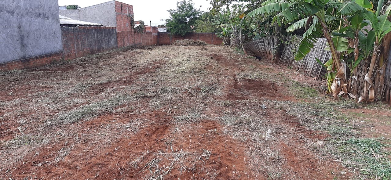Vigilância já notificou 680 proprietários para limpeza de terrenos em 2020 Terreno limpo pela equipe da Vigilância Sanitária