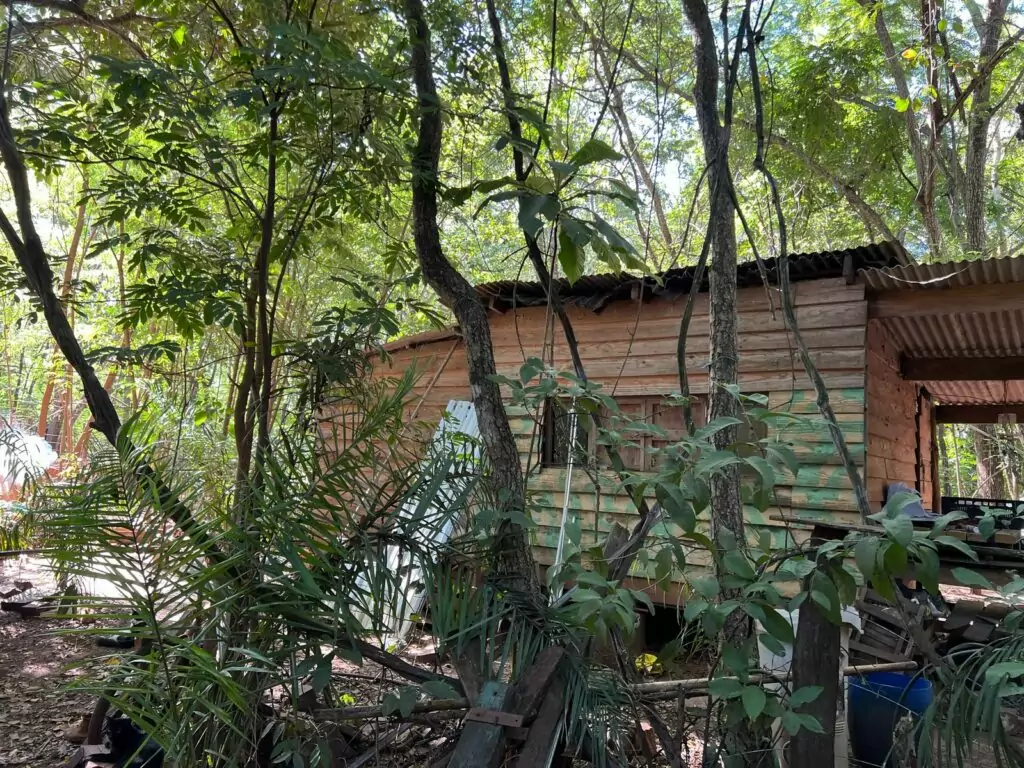 Prefeitura de Bonito Inicia Processo de Regularização da Rota Boiadeira Prefeitura de Bonito Inicia Processo de Regularização da Rota Boiadeira