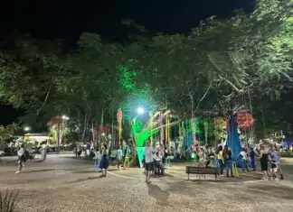 FLIB 2025: confira as atrações do fim de semana Category Template 1