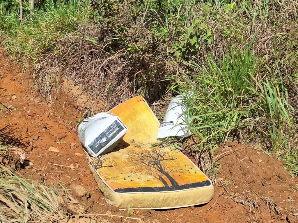 Prefeitura reforça fiscalização contra descarte irregular de lixo e restos de animais na Estrada do Quati