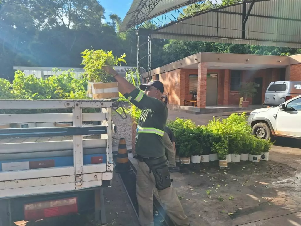 Bonito reforça ações de recuperação florestal com novas 10 mil mudas doadas pela Itaipu Binacional Bonito reforça ações de recuperação florestal com novas 10 mil mudas doadas pela Itaipu Binacional