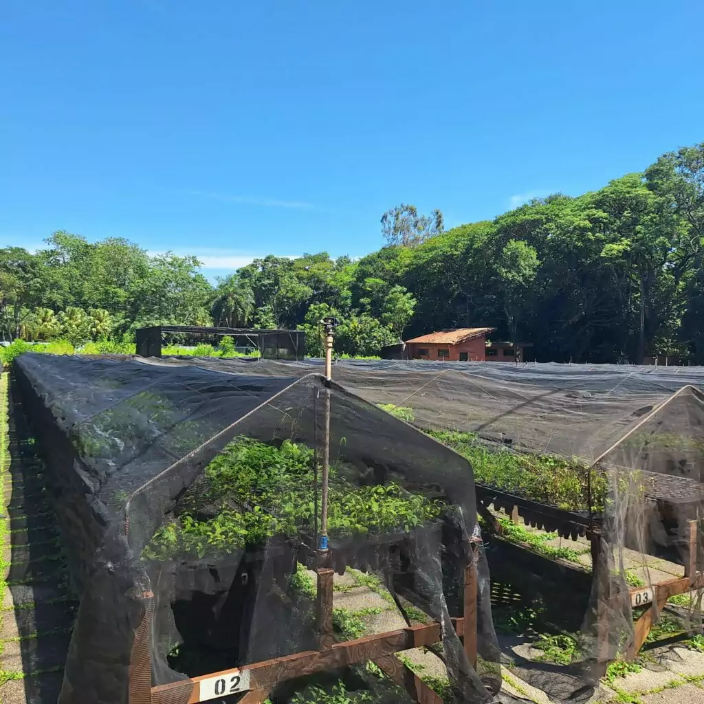 Retrospectiva 2025 – Meio Ambiente: avanços na gestão e conservação Retrospectiva 2025 – Meio Ambiente: avanços na gestão e conservação