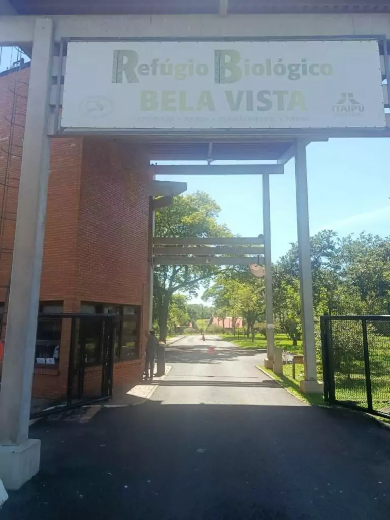 Bonito reforça ações de recuperação florestal com novas 10 mil mudas doadas pela Itaipu Binacional Bonito reforça ações de recuperação florestal com novas 10 mil mudas doadas pela Itaipu Binacional