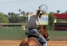 Retrospectiva 2025 – Cultura: projetos, tradições e fortalecimento artístico