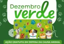 Dezembro Verde: Ação gratuita em defesa da causa animal será realizada em Bonito