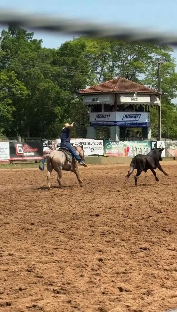 Retrospectiva 2025 – Turismo e Desenvolvimento Econômico: planejamento, promoção e sustentabilidade