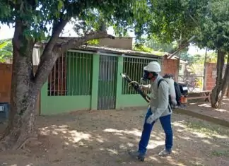 Prefeitura de Bonito realiza ações integradas para fortalecer prevenção e controle da dengue Category Template 1