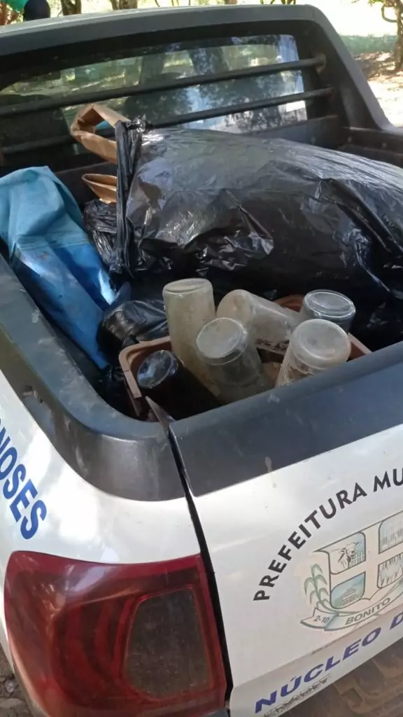 Boletim aponta casos de chikungunya e dengue em Bonito e alerta para prevenção