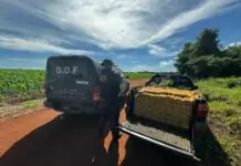 Operação Integrar apreende cerca de 2 toneladas de drogas e mobiliza forças de segurança na região sudoeste do Estado