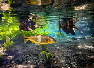 Bonito adere ao Pacto pela Sustentabilidade e pela Resiliência Climática dos Municípios de Mato Grosso do Sul Category Template 1