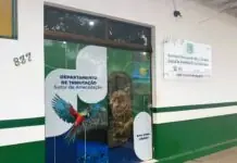 Prazo do Regulariza Bonito termina hoje com atendimento especial na Tributação