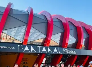 Alunos vencedores do Concurso de Desenhos 2025 visitam o Bioparque Pantanal Secretaria de Meio Ambiente