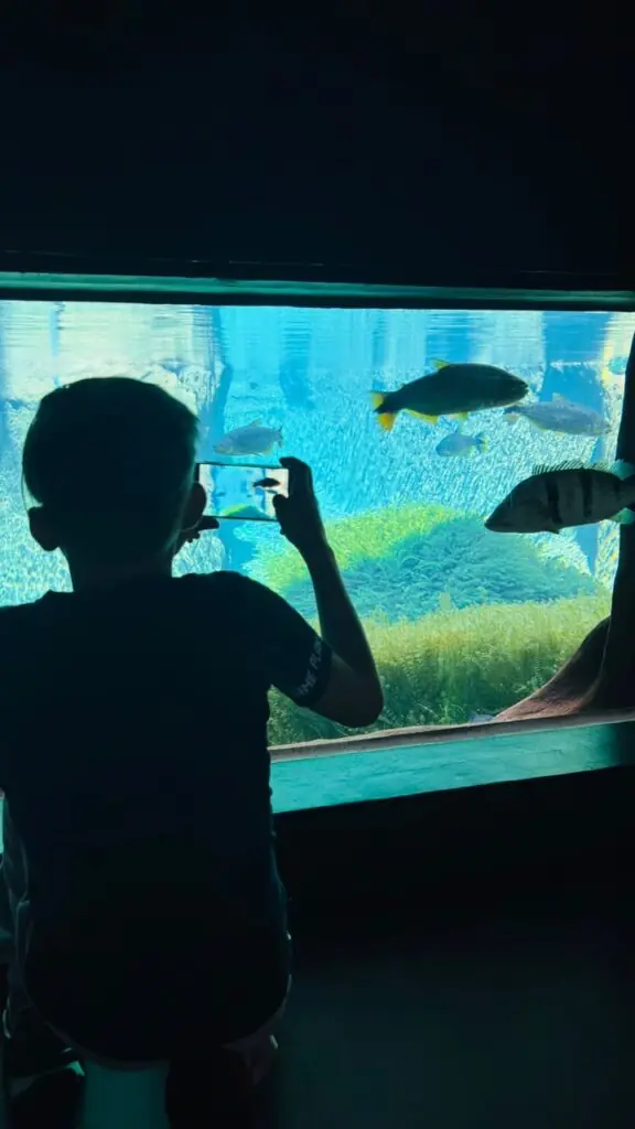 Alunos vencedores do Concurso de Desenhos 2025 visitam o Bioparque Pantanal Alunos vencedores do Concurso de Desenhos 2025 visitam o Bioparque Pantanal