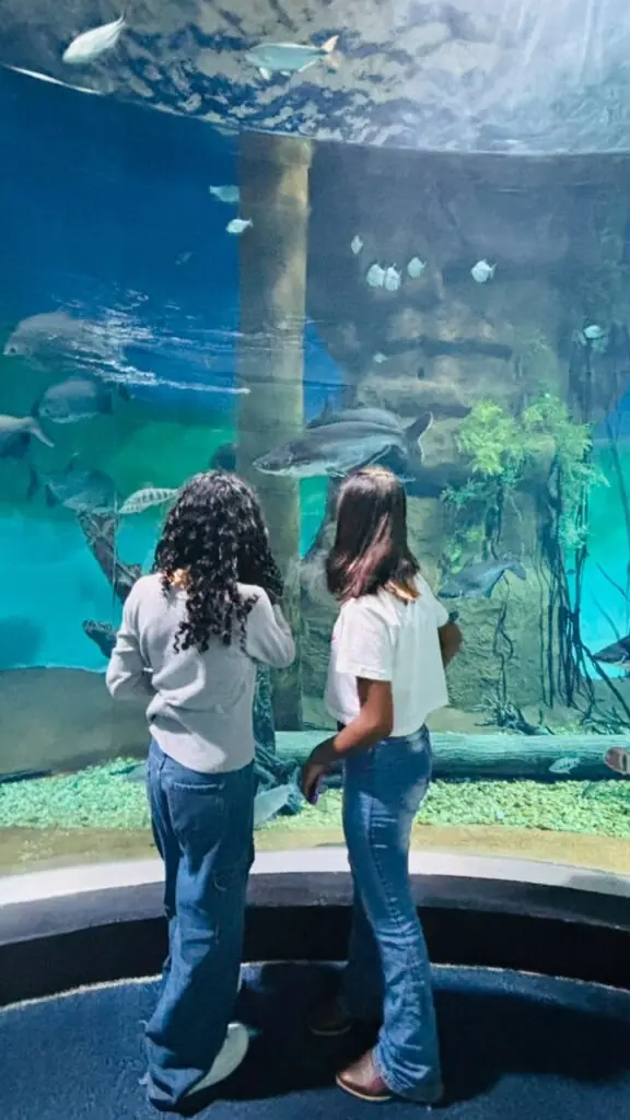 Alunos vencedores do Concurso de Desenhos 2025 visitam o Bioparque Pantanal Alunos vencedores do Concurso de Desenhos 2025 visitam o Bioparque Pantanal
