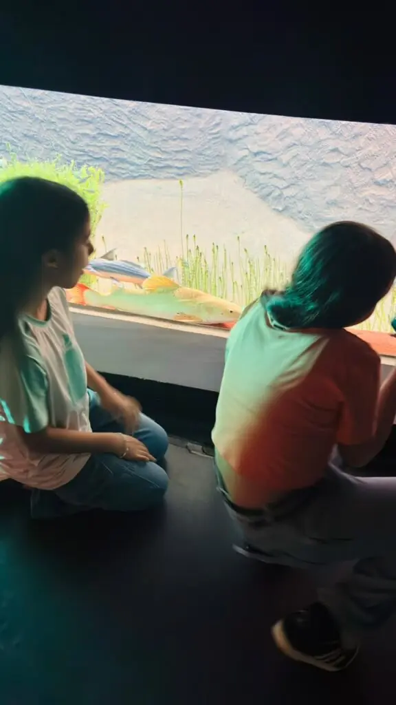 Alunos vencedores do Concurso de Desenhos 2025 visitam o Bioparque Pantanal Alunos vencedores do Concurso de Desenhos 2025 visitam o Bioparque Pantanal