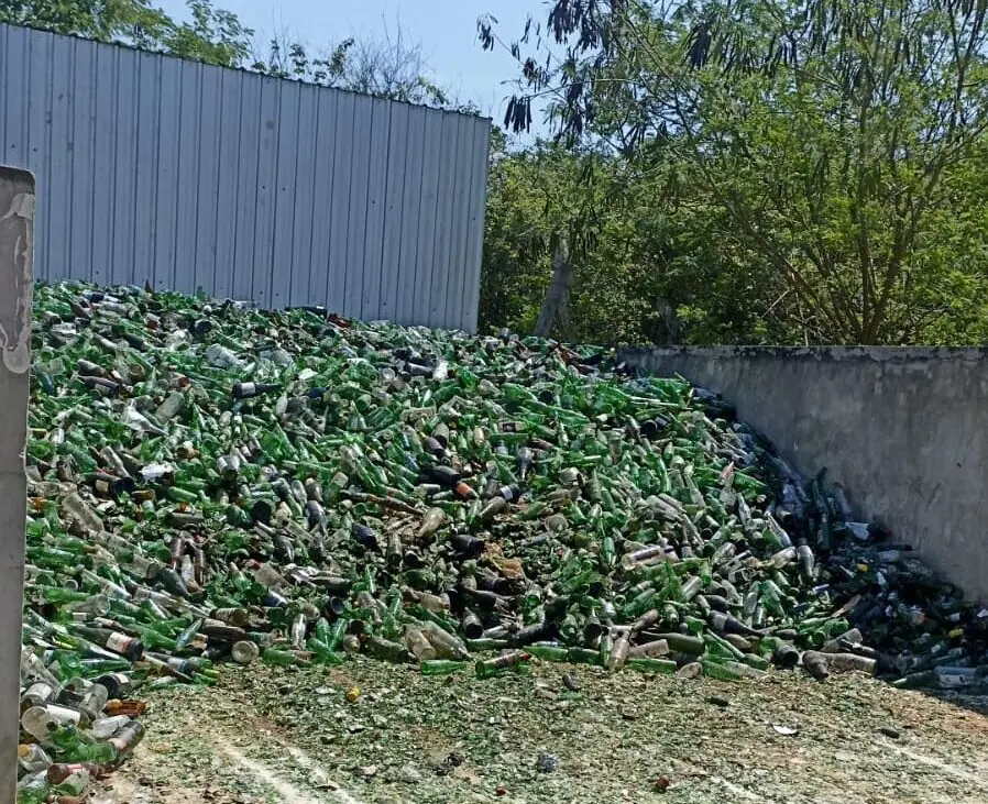 Bonito destina 31 toneladas de vidro para reciclagem por meio do projeto Formigão Bonito destina 31 toneladas de vidro para reciclagem por meio do projeto Formigão