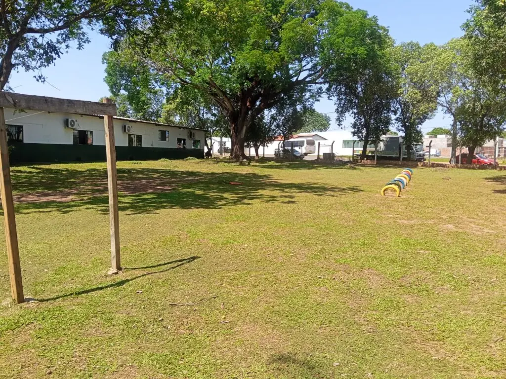 Prefeitura intensifica serviços de roçada em espaços públicos de Bonito Prefeitura intensifica serviços de roçada em espaços públicos de Bonito