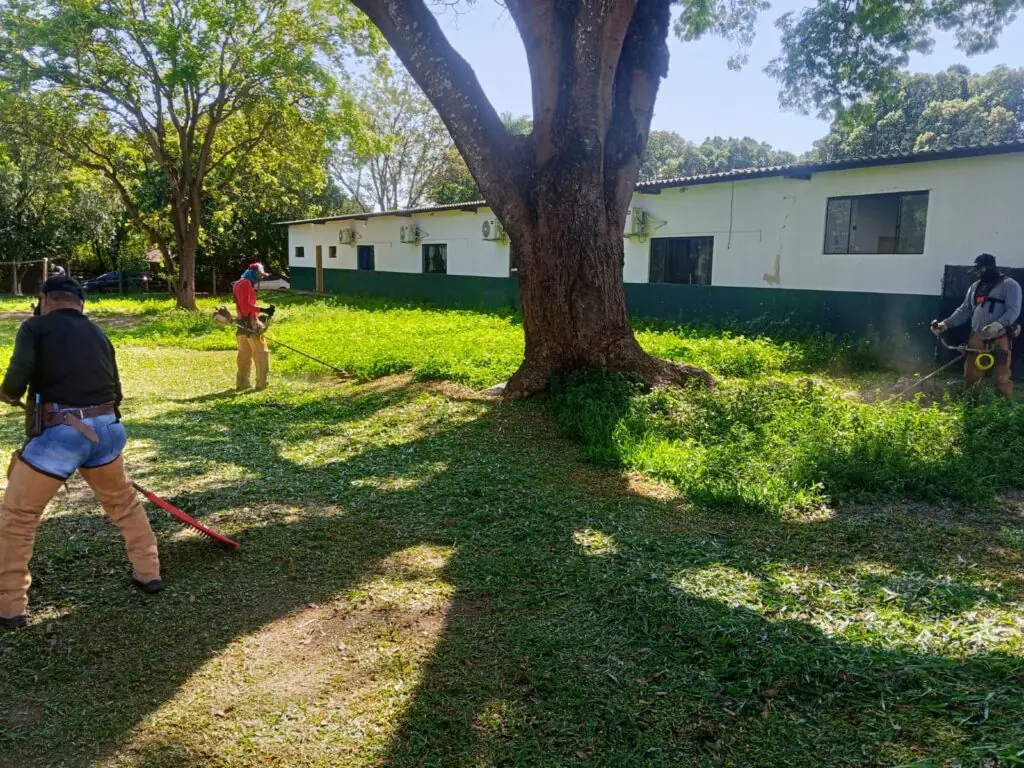 Prefeitura intensifica serviços de roçada em espaços públicos de Bonito Prefeitura intensifica serviços de roçada em espaços públicos de Bonito